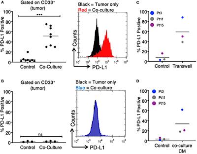 Tumor-specific T cell-mediated upregulation of PD-L1 in myelodysplastic syndrome cells does not affect T-cell killing